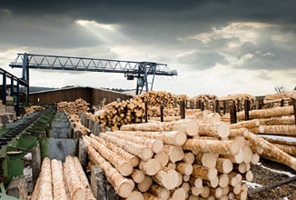 drevársky a nábytkársky priemysel
